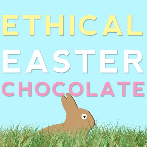 ethical-easter-chocolates.png.492x0_q85_crop-smart